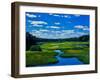 Grass growing in a river, Middle Branch Moose River, New York State Route 28, Adirondack Mountai...-null-Framed Photographic Print