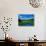Grass growing in a river, Middle Branch Moose River, New York State Route 28, Adirondack Mountai...-null-Stretched Canvas displayed on a wall