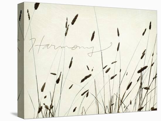 Grass Harmony-Amy Melious-Stretched Canvas