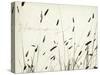 Grass Harmony-Amy Melious-Stretched Canvas