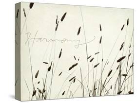 Grass Harmony-Amy Melious-Stretched Canvas