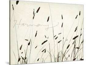 Grass Harmony-Amy Melious-Stretched Canvas