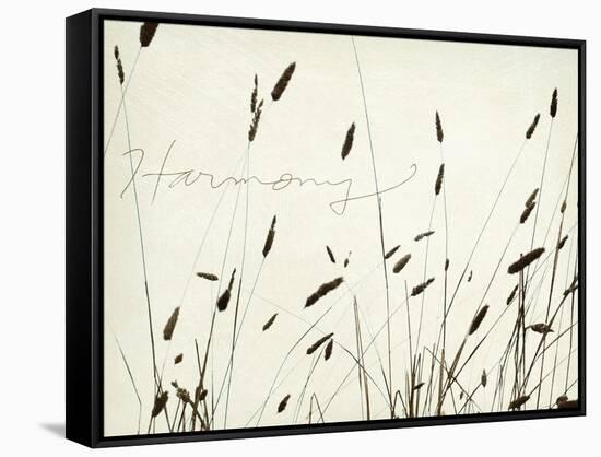 Grass Harmony-Amy Melious-Framed Stretched Canvas