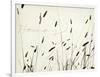 Grass Harmony-Amy Melious-Framed Art Print