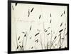 Grass Harmony-Amy Melious-Framed Art Print