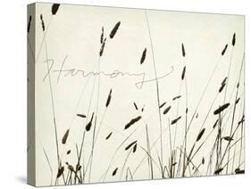 Grass Harmony-Amy Melious-Stretched Canvas