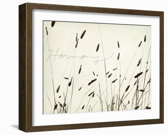 Grass Harmony-Amy Melious-Framed Art Print