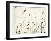 Grass Harmony-Amy Melious-Framed Art Print