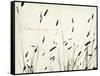 Grass Harmony-Amy Melious-Framed Stretched Canvas