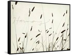 Grass Harmony-Amy Melious-Framed Stretched Canvas