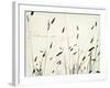 Grass Harmony-Amy Melious-Framed Art Print