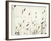 Grass Harmony-Amy Melious-Framed Art Print