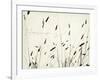 Grass Harmony-Amy Melious-Framed Art Print