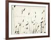 Grass Harmony-Amy Melious-Framed Art Print