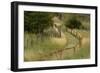 Grass lined pathway, Los Glaciares National Park, Argentina, South America, Patagonia-Adam Jones-Framed Photographic Print