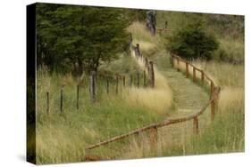 Grass lined pathway, Los Glaciares National Park, Argentina, South America, Patagonia-Adam Jones-Stretched Canvas