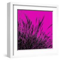 Grass (magenta), c.2011-Davide Polla-Framed Premium Giclee Print