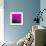 Grass (magenta), c.2011-Davide Polla-Framed Premium Giclee Print displayed on a wall