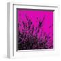 Grass (magenta), c.2011-Davide Polla-Framed Premium Giclee Print