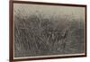 Grass of the Desert, a Scene of Travel in South Africa-Thomas Baines-Framed Giclee Print