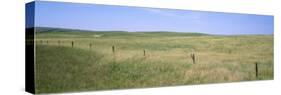 Grass on a Field, Cherry County, Nebraska, USA-null-Stretched Canvas
