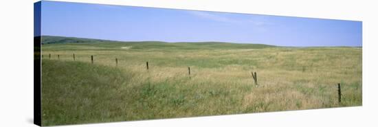 Grass on a Field, Cherry County, Nebraska, USA-null-Stretched Canvas