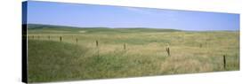 Grass on a Field, Cherry County, Nebraska, USA-null-Stretched Canvas