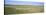 Grass on a Field, Cherry County, Nebraska, USA-null-Stretched Canvas