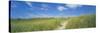 Grass on Sand Dunes, Cape Cod, Massachusetts, USA-null-Stretched Canvas