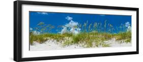 Grass on the beach, Bill Baggs Cape Florida State Park, Key Biscayne, Miami-Dade County, Florida...-null-Framed Photographic Print