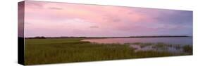 Grass on the Beach, Fernandina Beach, Amelia Island, Florida, USA-null-Stretched Canvas