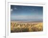 Grass on the Beach, Holme Dunes, Norfolk, England-null-Framed Photographic Print