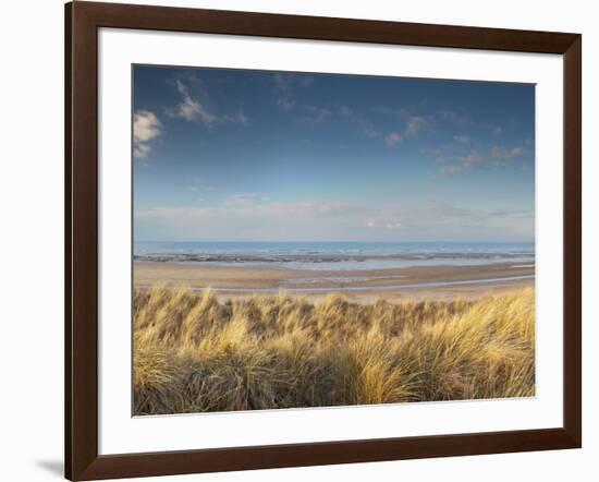 Grass on the Beach, Holme Dunes, Norfolk, England-null-Framed Photographic Print