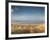 Grass on the Beach, Holme Dunes, Norfolk, England-null-Framed Photographic Print