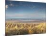 Grass on the Beach, Holme Dunes, Norfolk, England-null-Mounted Photographic Print