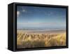 Grass on the Beach, Holme Dunes, Norfolk, England-null-Framed Stretched Canvas