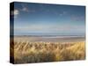 Grass on the Beach, Holme Dunes, Norfolk, England-null-Stretched Canvas