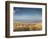 Grass on the Beach, Holme Dunes, Norfolk, England-null-Framed Photographic Print