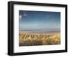 Grass on the Beach, Holme Dunes, Norfolk, England-null-Framed Photographic Print