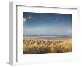 Grass on the Beach, Holme Dunes, Norfolk, England-null-Framed Photographic Print