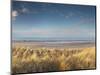 Grass on the Beach, Holme Dunes, Norfolk, England-null-Mounted Photographic Print