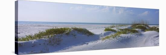 Grass on the Beach, Lido Beach, Lido Key, Sarasota, Florida, USA-null-Stretched Canvas