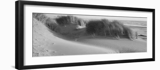 Grass on the Beach, Pacific Ocean, Bandon State Natural Area, Bandon, Oregon, USA-null-Framed Premium Photographic Print