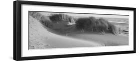 Grass on the Beach, Pacific Ocean, Bandon State Natural Area, Bandon, Oregon, USA-null-Framed Photographic Print