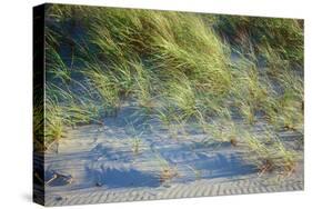 Grass on the sands of Lake Michigan, Indiana Dunes, Indiana, USA-Anna Miller-Stretched Canvas