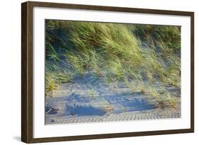 Grass on the sands of Lake Michigan, Indiana Dunes, Indiana, USA-Anna Miller-Framed Photographic Print