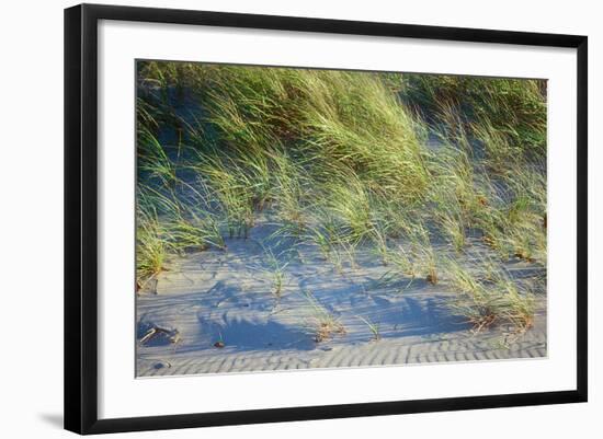 Grass on the sands of Lake Michigan, Indiana Dunes, Indiana, USA-Anna Miller-Framed Photographic Print