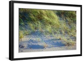 Grass on the sands of Lake Michigan, Indiana Dunes, Indiana, USA-Anna Miller-Framed Photographic Print