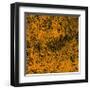 Grass (orange), c.2011-Davide Polla-Framed Premium Giclee Print