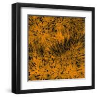 Grass (orange), c.2011-Davide Polla-Framed Premium Giclee Print